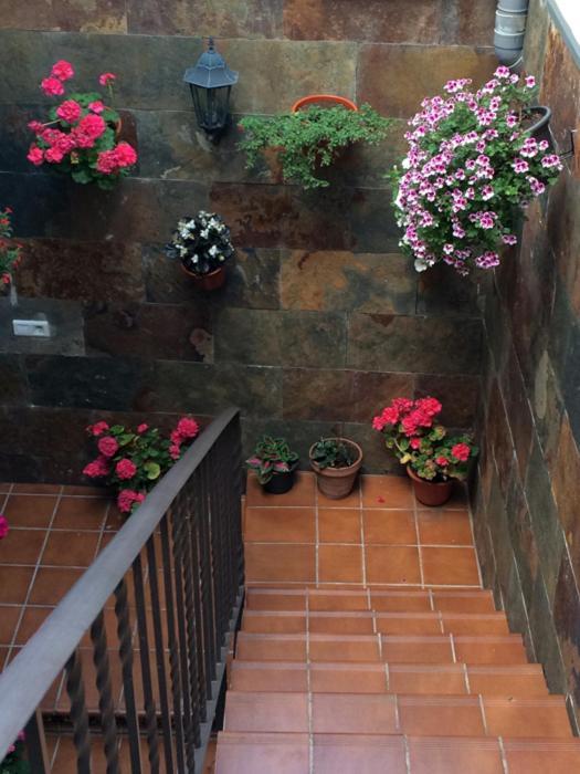 La Flor Apartment