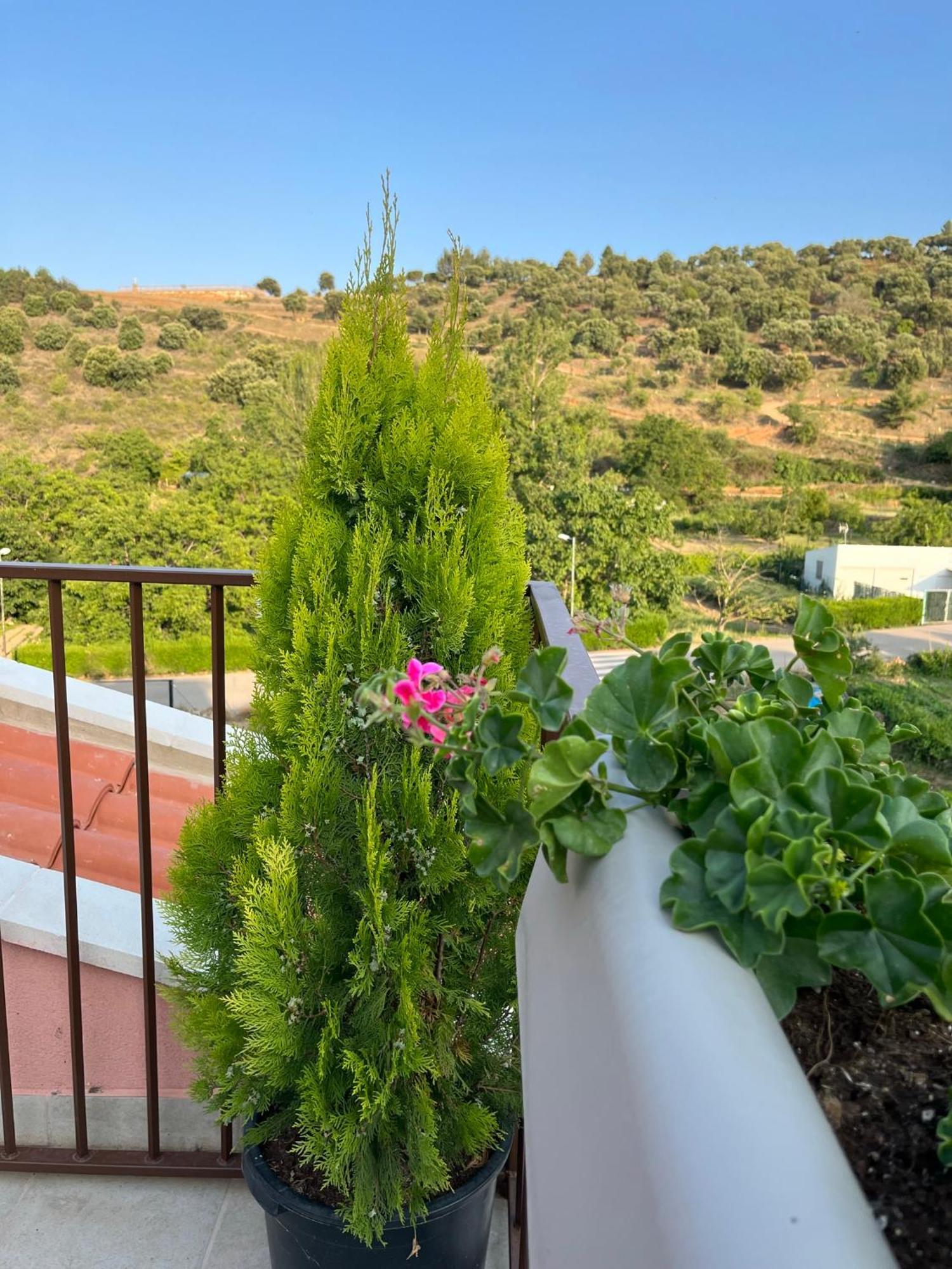 Apartamento La Flor
